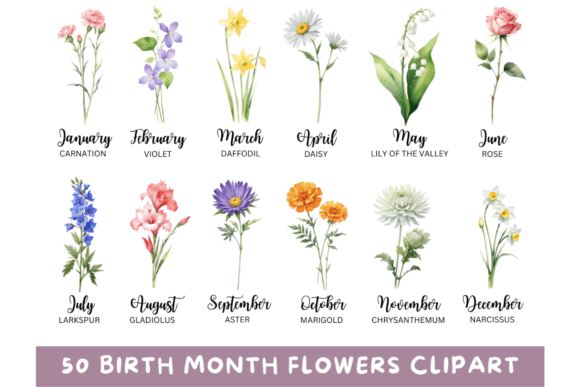 50 Watercolor Birth Month Flowers PNG: A Creative Toolkit